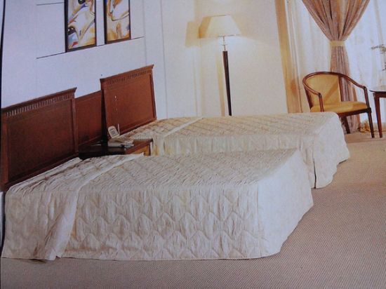 點擊查看詳細信息<br>標題：客房系列 閱讀次數(shù)：2140